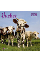 Calendrier vaches 2024