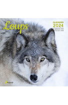 Calendrier loups 2024