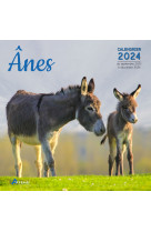 Calendrier ânes 2024