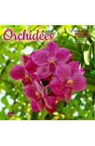 Calendrier orchidées 2024