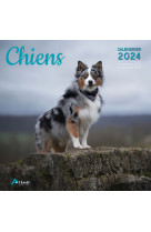 Calendrier chiens 2024