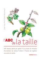 L'abc de la taille