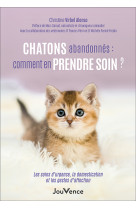 Chatons abandonnés : comment en prendre soin ?