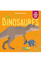 Saisissants pop-up - dinosaures