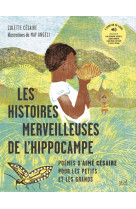 Les histoires merveilleuses de l'hippocampe