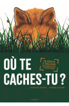 Où te caches-tu?