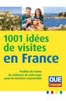 1001 idées de visites en france