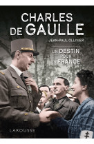 Charles de gaulle, un destin pour la france