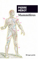 Mammifères