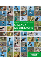 Oiseaux de bretagne