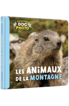 Les animaux de la montagne