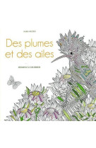 Des plumes et des ailes - dessins à colorier