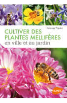 Cultiver des plantes mellifères en ville et au jardin