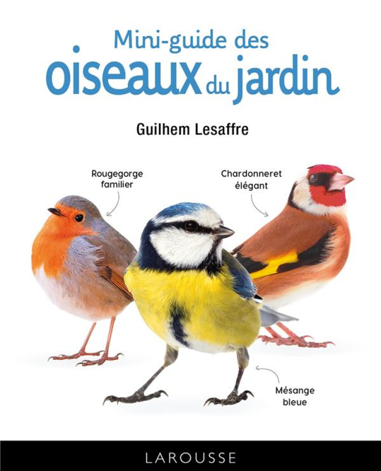 MINI-GUIDE DES OISEAUX DU JARDIN - LESAFFRE GUILHEM - LAROUSSE