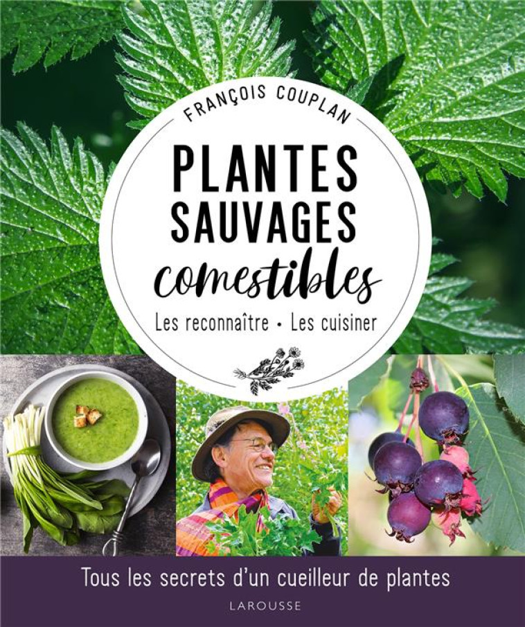 PLANTES SAUVAGES COMESTIBLES - TOUS LES SECRETS D'UN CUEILLEUR DE PLANTES - COUPLAN FRANCOIS - LAROUSSE