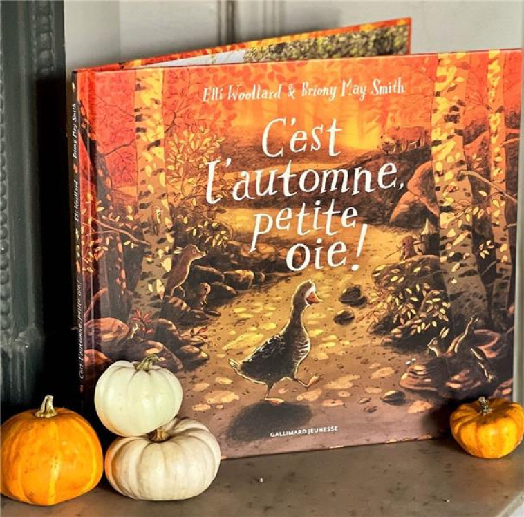 C'EST L'AUTOMNE, PETITE OIE ! - WOOLLARD/MAY SMITH - GALLIMARD