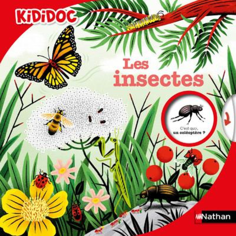 LES INSECTES - VOL47 - ZURCHER/BESSARD - CLE INTERNAT