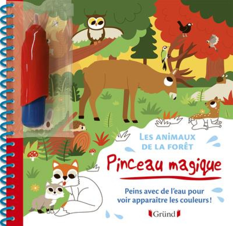 PINCEAU MAGIQUE - LES ANIMAUX DE LA FORET - MONSIEUR DUPONT - GRUND