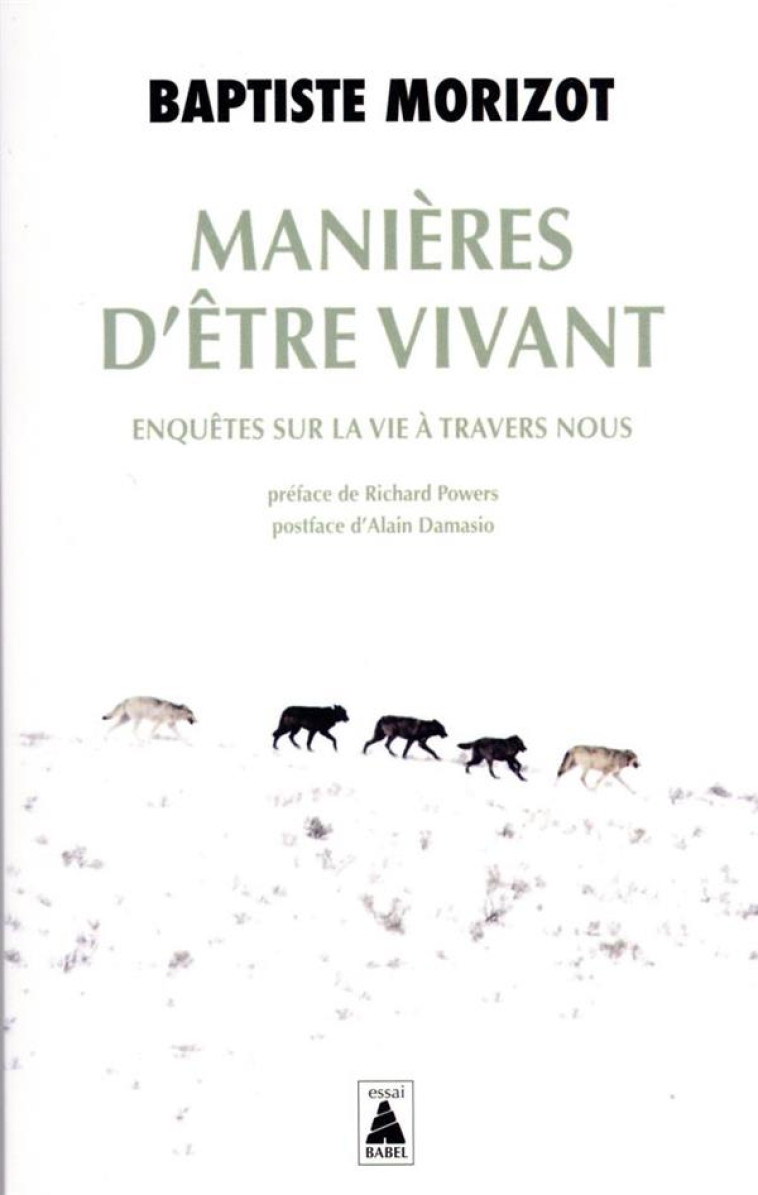 MANIERES D'ETRE VIVANT - ENQUETES SUR LA VIE A TRAVERS NOUS - MORIZOT/POWERS - ACTES SUD