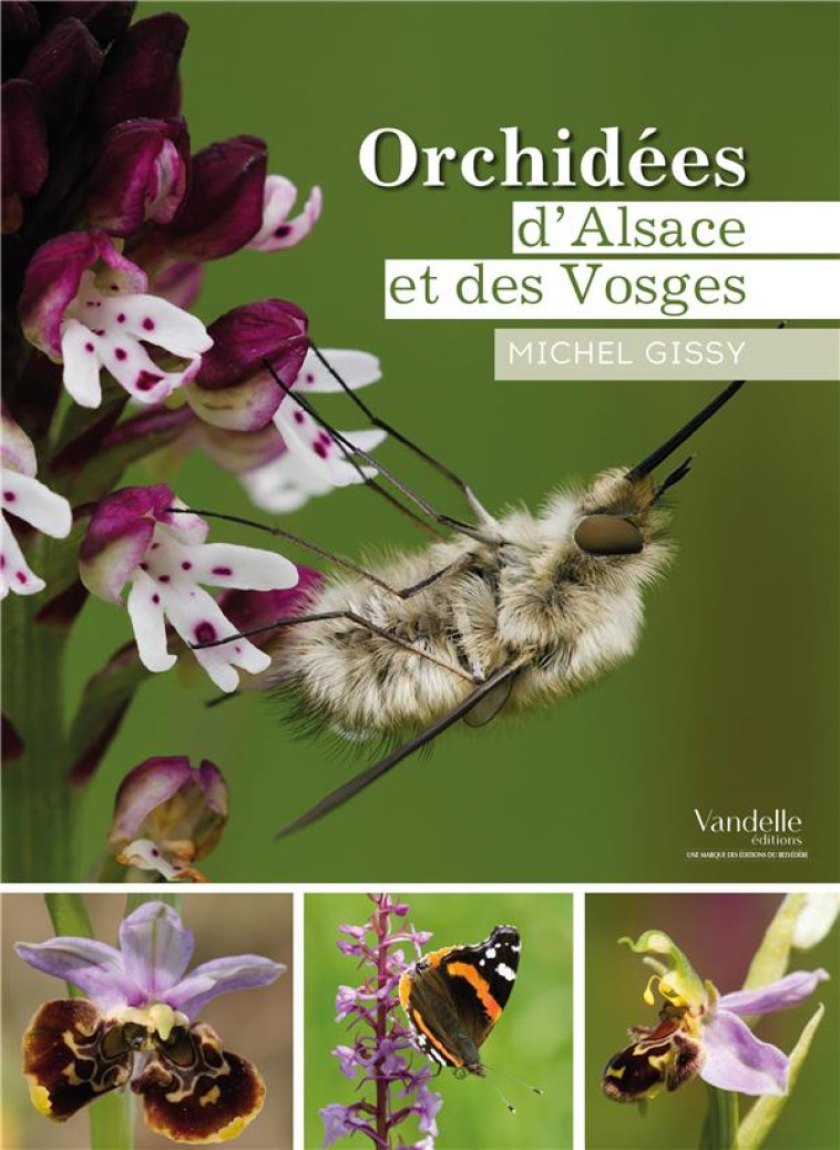 ORCHIDEES D'ALSACE ET DES VOSGES - XXX - Editions Emmanuel Vandelle