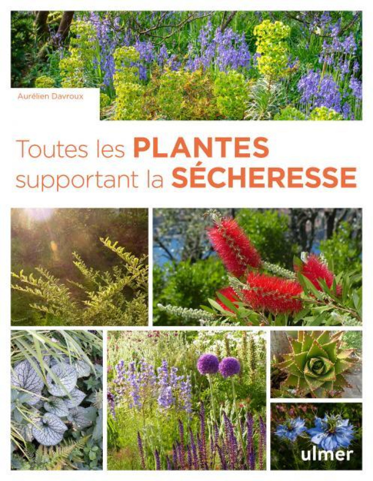 TOUTES LES PLANTES SUPPORTANT LA SECHERESSE - DAVROUX AURELIEN - ULMER