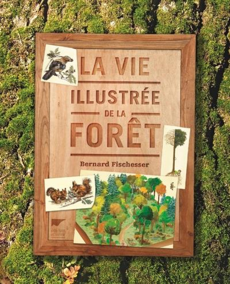 LA VIE ILLUSTREE DE LA FORET - FISCHESSER BERNARD - DELACHAUX