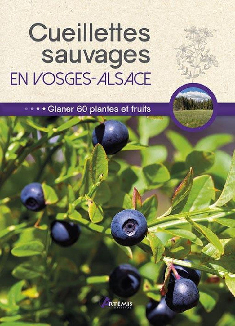 CUEILLETTES SAUVAGES EN VOSGES-ALSACE - CHAVANNE PHILIPPE - ARTEMIS