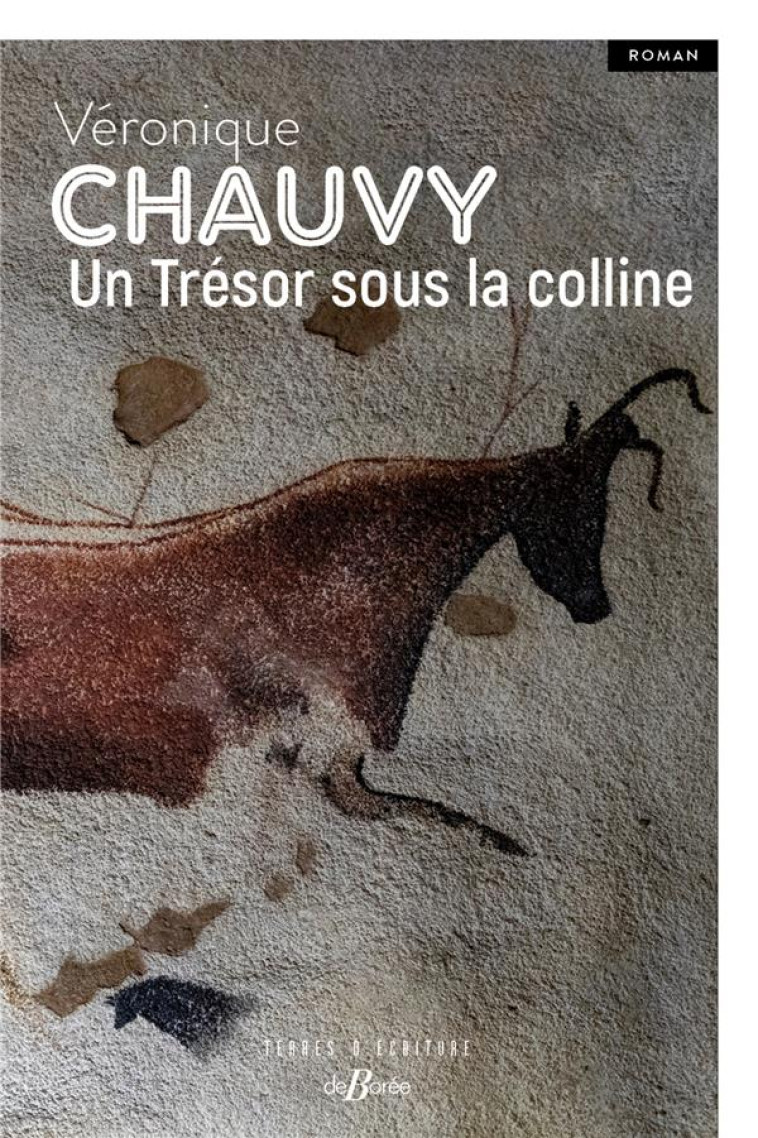 UN TRESOR SOUS LA COLLINE - CHAUVY VERONIQUE - DE BOREE