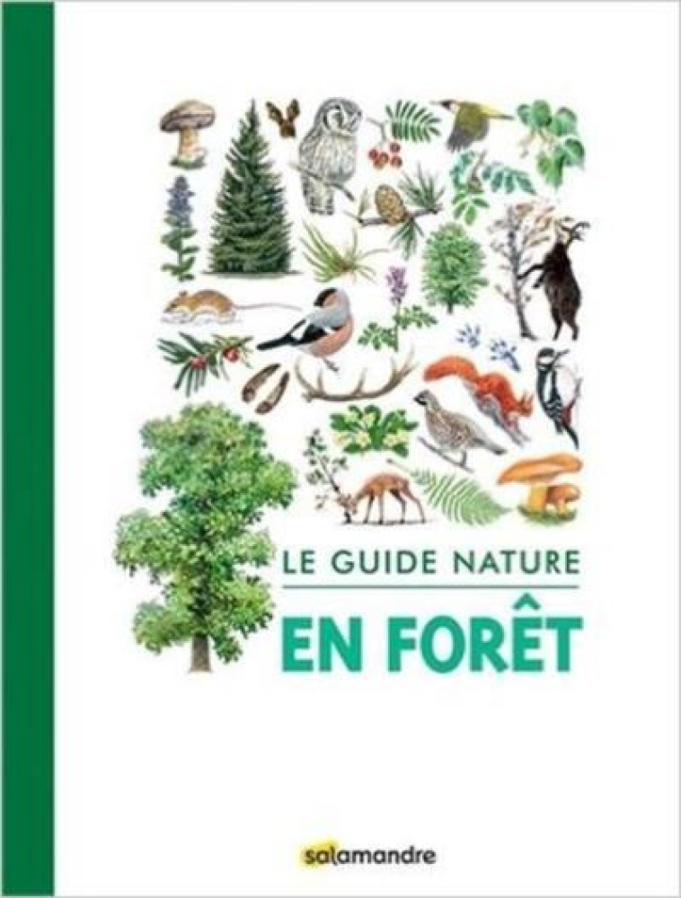 LE GUIDE NATURE : EN FORET - 2E EDITION - COLLECTIF - LA SALAMANDRE