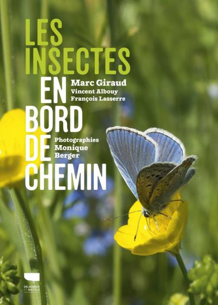 LES INSECTES EN BORD DE CHEMIN - ALBOUY/LASSERRE - DELACHAUX