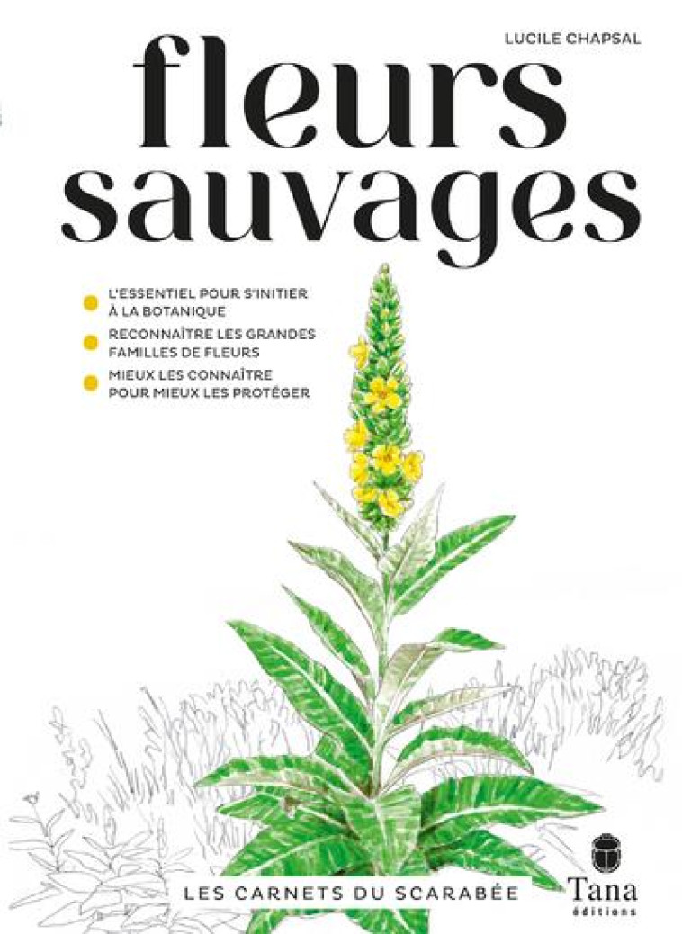 LES CARNETS DU SCARABEE - FLEURS SAUVAGES - CHAPSAL LUCILE - TANA