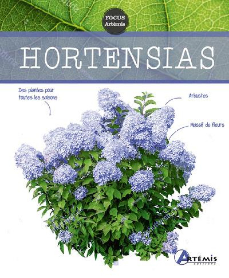 HORTENSIAS - SASIAS GERARD - ARTEMIS