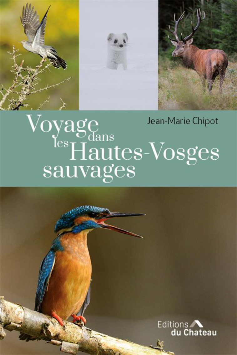 VOYAGE DANS LES HAUTES-VOSGES SAUVAGES - CHIPOT JEAN-MARIE - DU CHATEAU