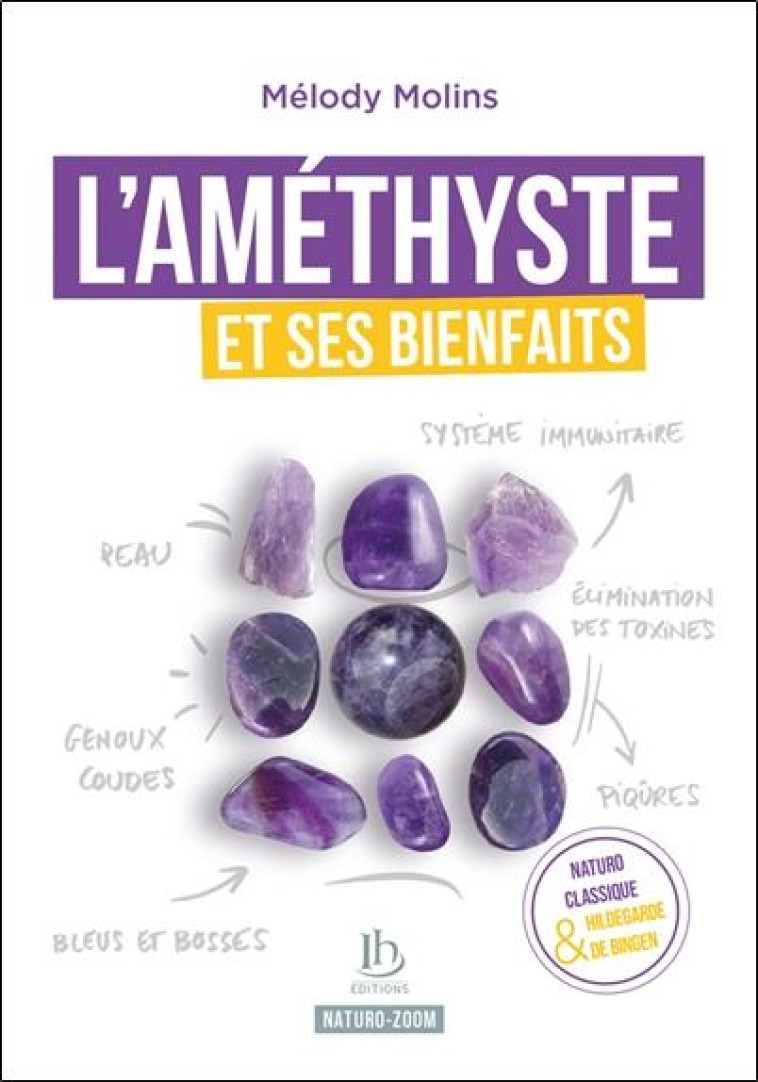 L'AMETHYSTE ET SES BIENFAITS - MOLINS MELODY - HILDEGARDIEN