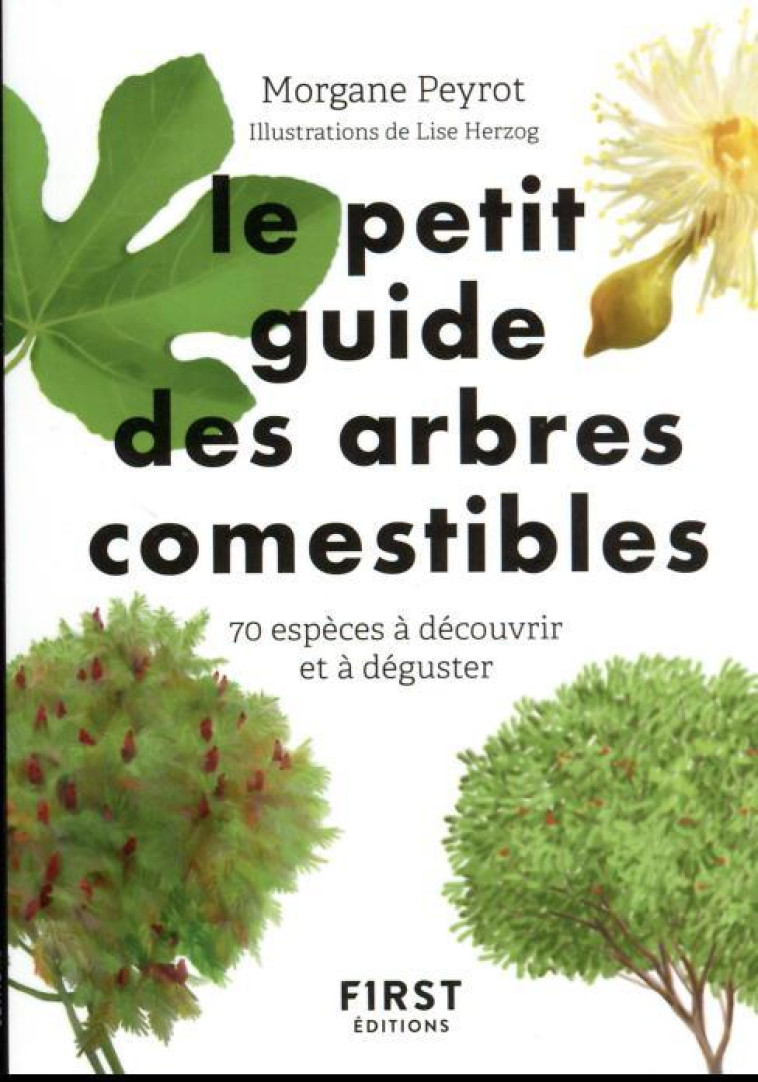 PETIT GUIDE DES ARBRES COMESTIBLES - PEYROT/HERZOG - FIRST