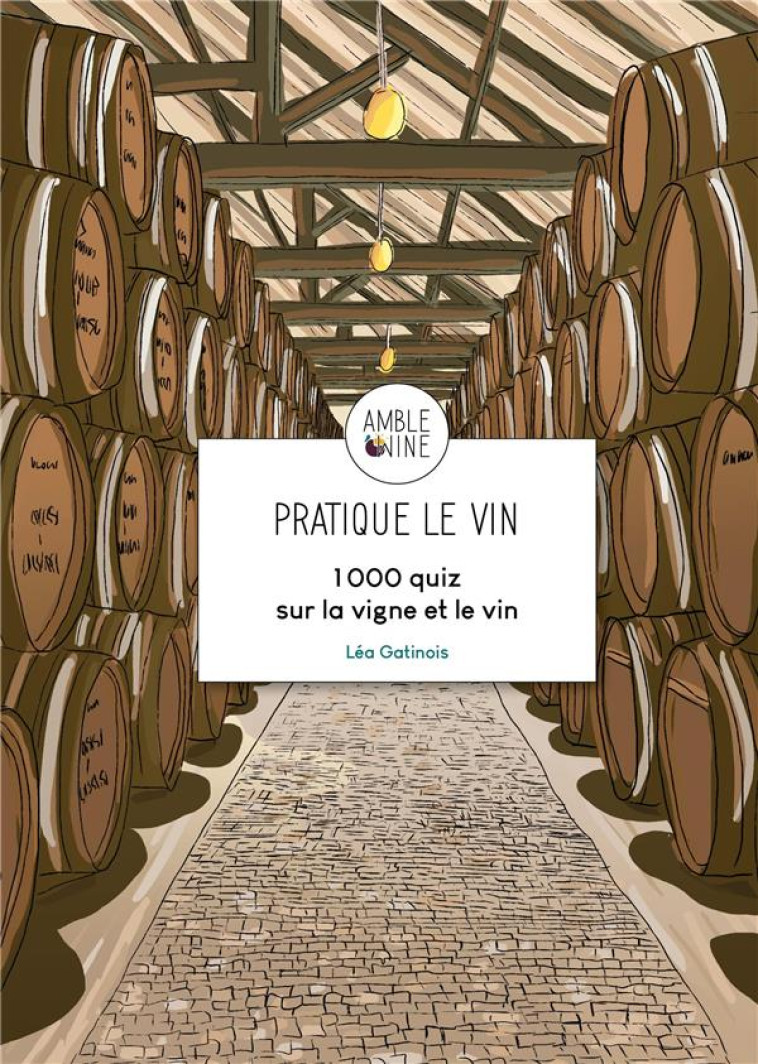 PRATIQUE LE VIN - GATINOIS LEA - VINS ET SANTE