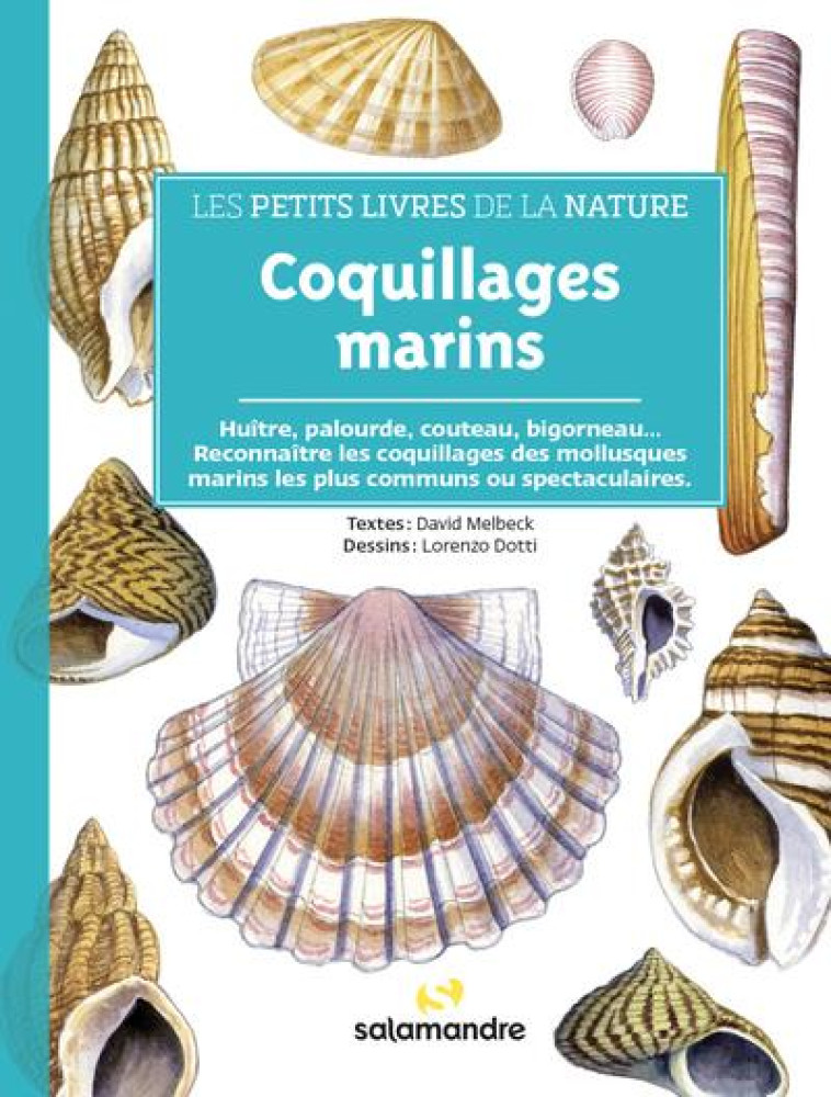 LES PETITS LIVRES DE LA NATURE - COQUILLAGES MARINS - MELBECK/DOTTI - LA SALAMANDRE