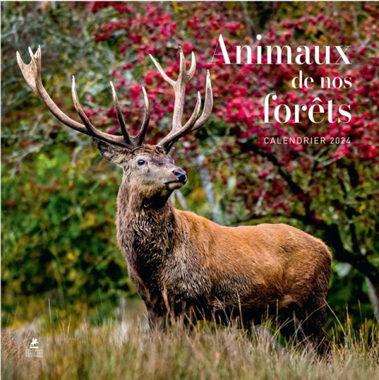 CALENDRIER ANIMAUX DE NOS FORETS 2024 - COLLECTIF - PLACE VICTOIRES