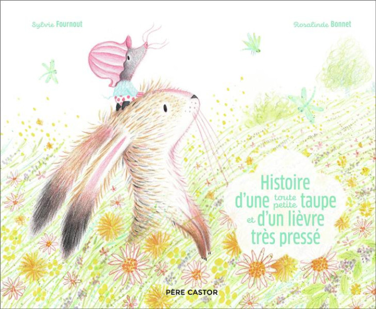 HISTOIRE D'UNE TOUTE PETITE TAUPE ET D'UN LIEVRE TRES PRESSE - FOURNOUT/BONNET - FLAMMARION