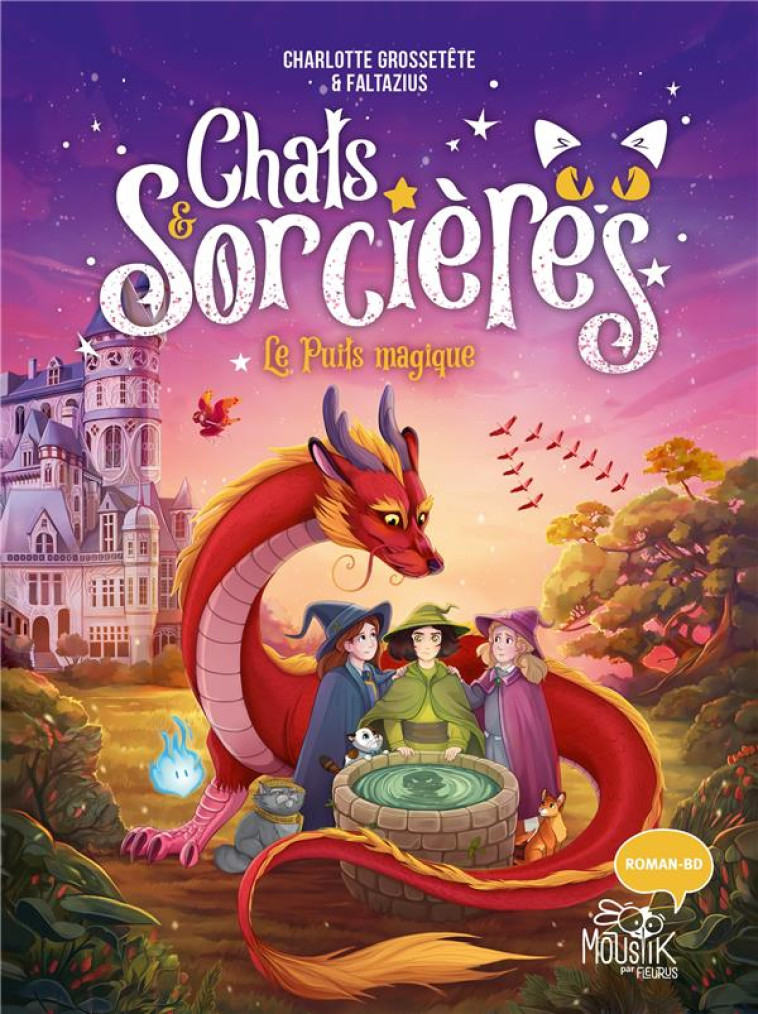 CHATS & SORCIERES - TOME 3 - LE PUITS MAGIQUE, TOME 3 - GROSSETETE/FALTAZIUS - FLEURUS