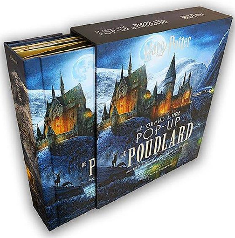 HARRY POTTER - LE GRAND LIVRE POP-UP DE POUDLARD - REINHART/WILSON - GALLIMARD