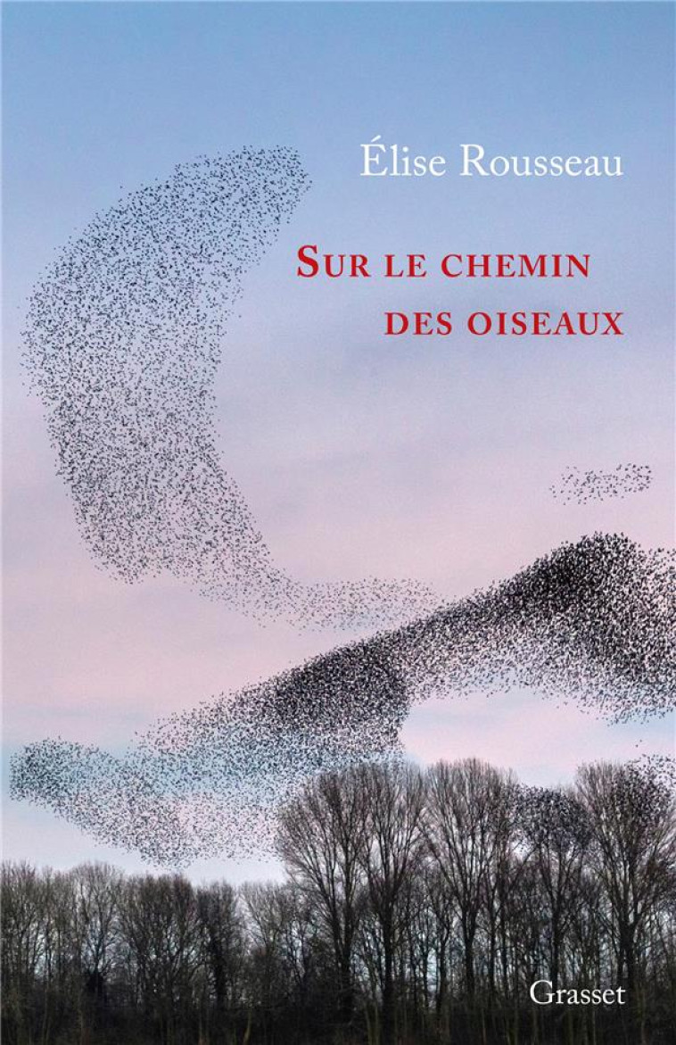 SUR LE CHEMIN DES OISEAUX - RECIT - ROUSSEAU ELISE - GRASSET