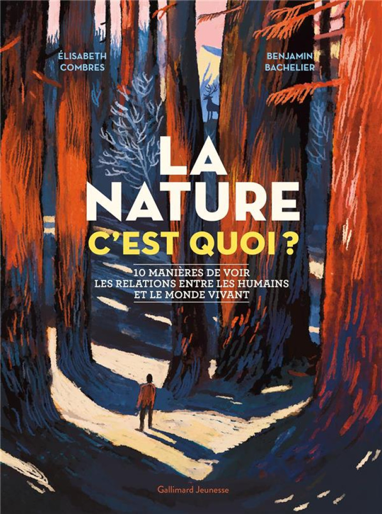 LA NATURE C'EST QUOI ? - 10 MANIERES DE VOIR LES RELATIONS ENTRE LES HUMAINS ET LE MONDE VIVANT - COMBRES/BACHELIER - GALLIMARD