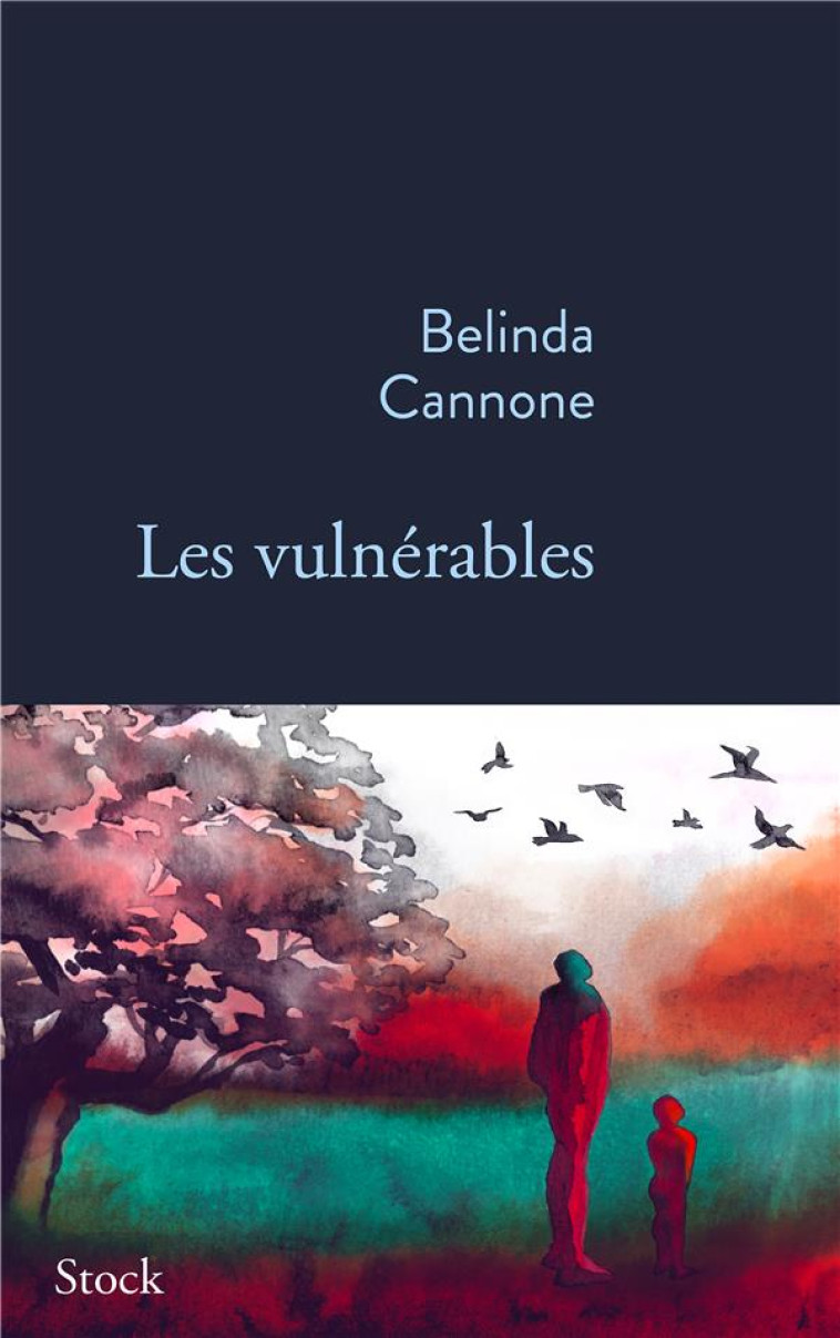 LES VULNERABLES - CANNONE BELINDA - STOCK