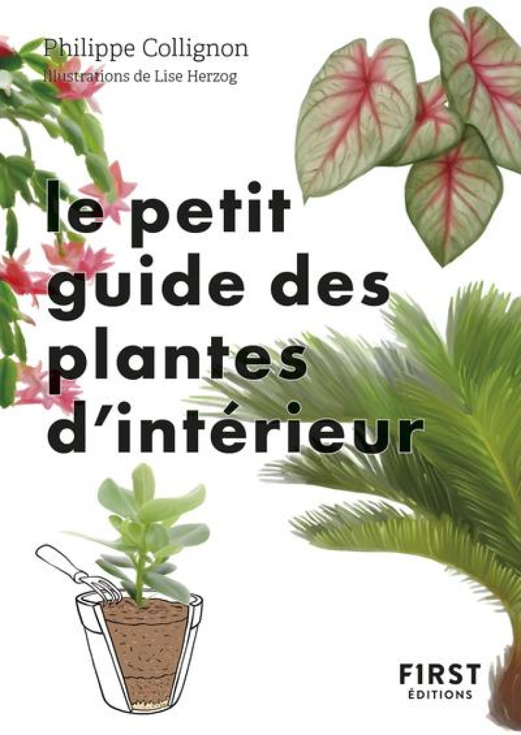 LE PETIT GUIDE JARDIN DES PLANTES D-INTERIEUR - COLLIGNON/HERZOG - FIRST