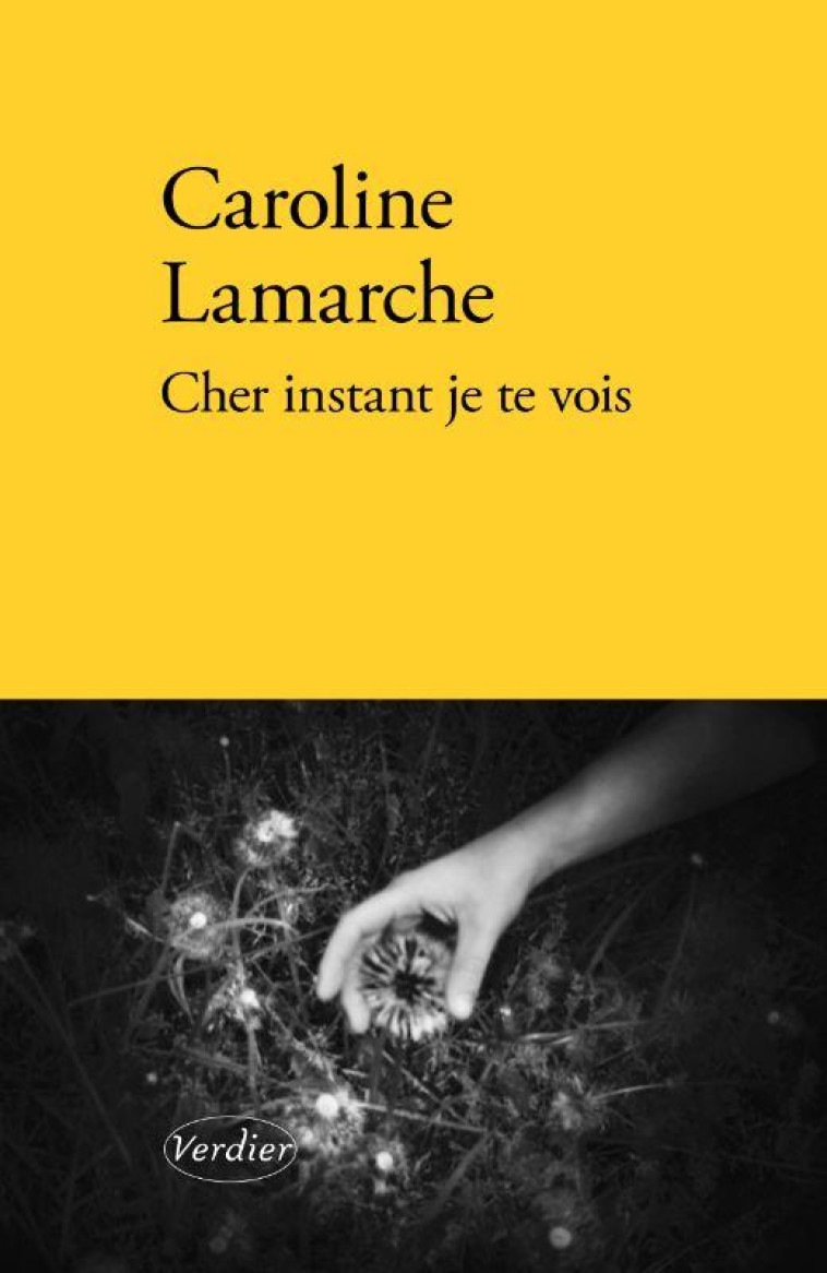 CHER INSTANT JE TE VOIS - LAMARCHE CAROLINE - VERDIER