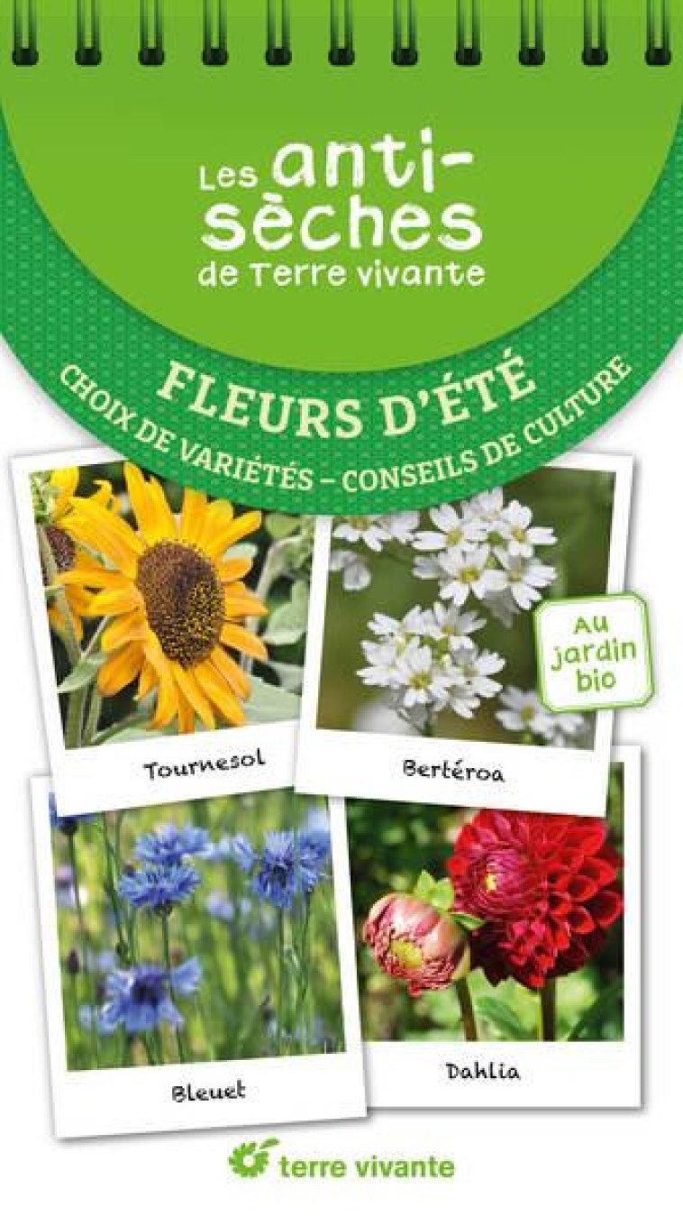 LES ANTISECHES DE TERRE VIVANTE : FLEURS D-ETE - CHOIX DE VARIETES  CONSEILS DE CULTURE - LAPOUGE-DEJEAN - TERRE VIVANTE