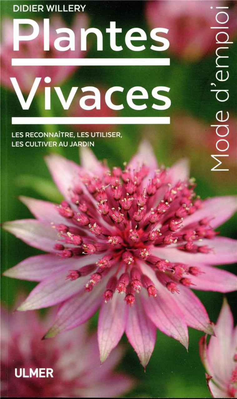 PLANTES VIVACES - WILLERY DIDIER - ULMER