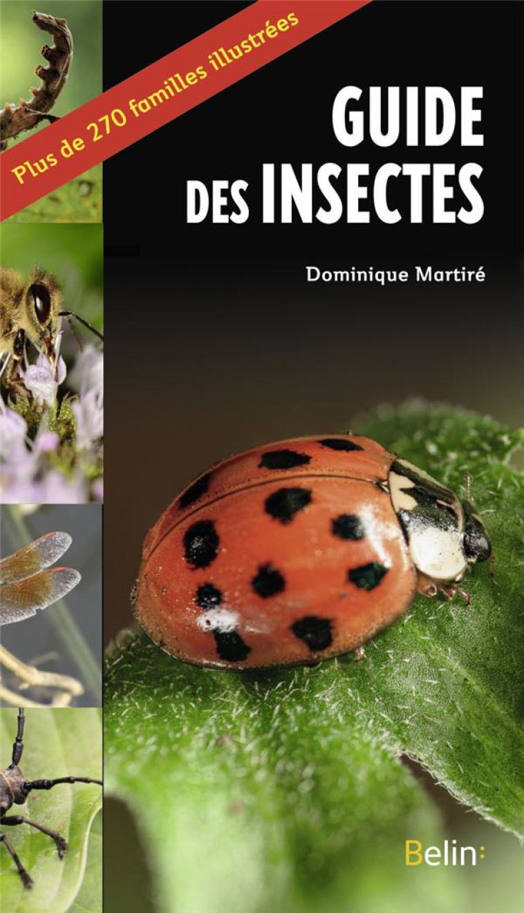 LE GUIDE DES INSECTES - MARTIRE - BELIN