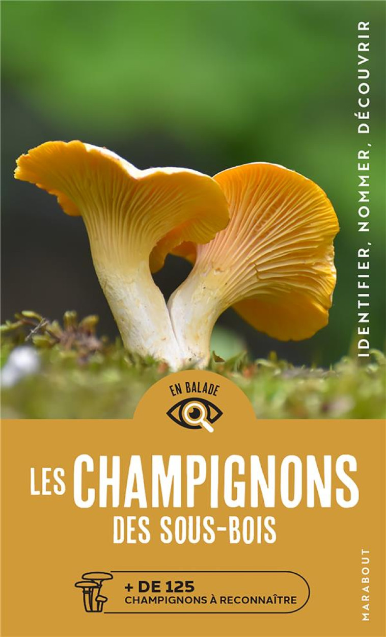 LES CHAMPIGNONS DES SOUS BOIS - FLUCK MARKUS - MARABOUT